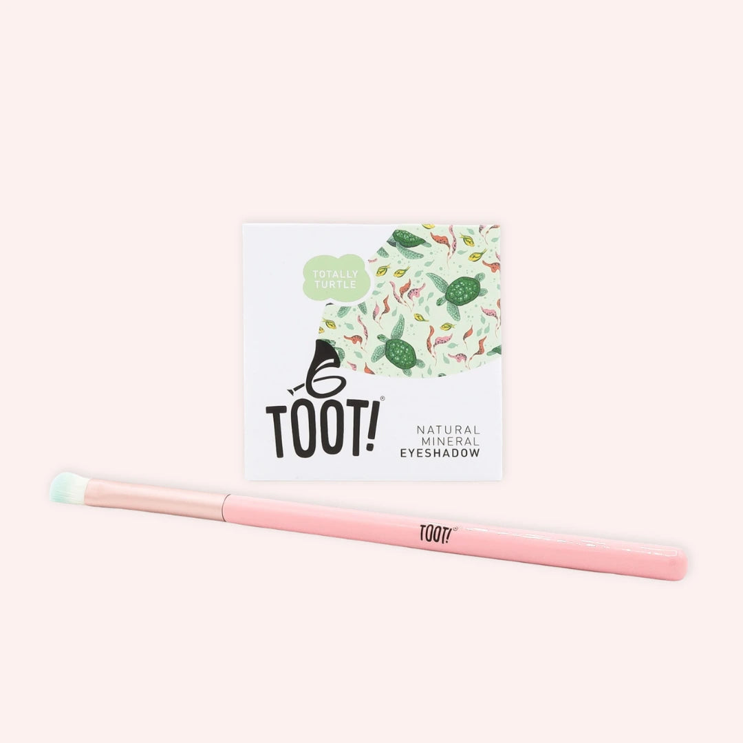 Totally Turtle Eyeshadow Box Set